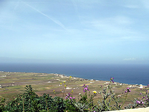 Himmel, sol, hav och gröna fält. Santorini.