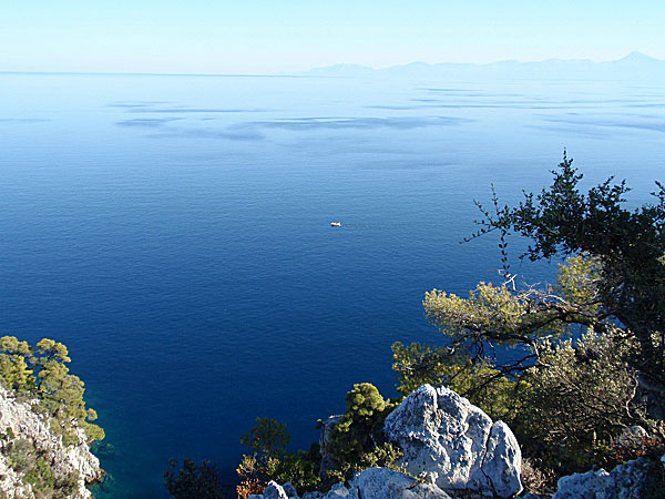 Spegelblankt hav på Skopelos.