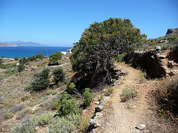 Vandra från Megalo Chorio till  Agios Andonis på Tilos i Grekland.