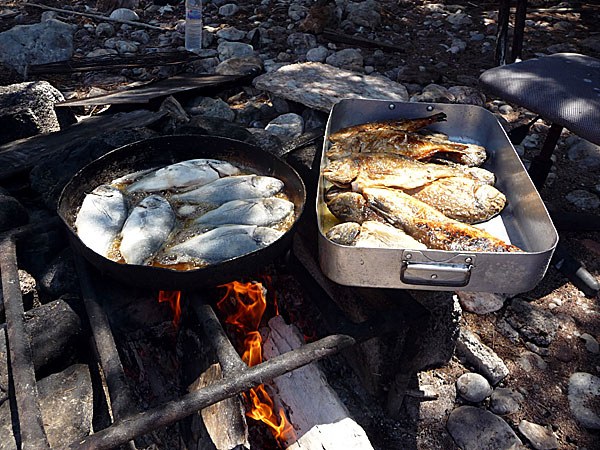 Färsk fisk steks över öppen eld på Tilos.
