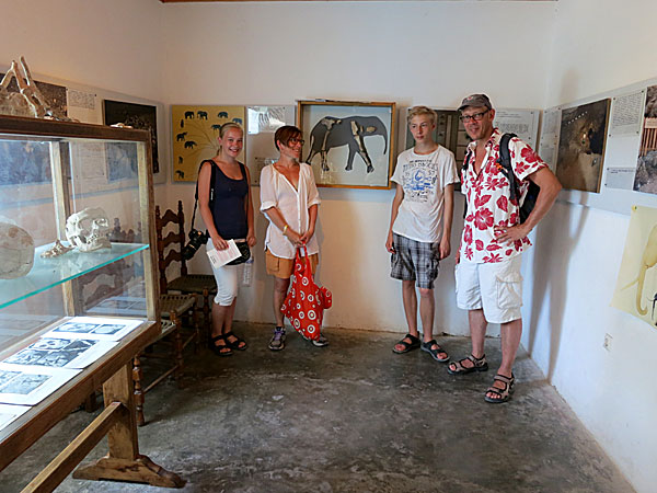 Elefantmuséet i Megalo Chori .