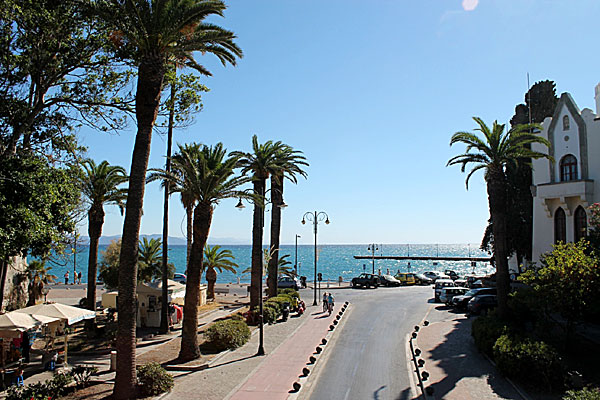 Kos stad.