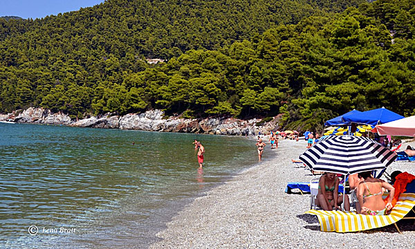 Milia Beach. Skopelos.