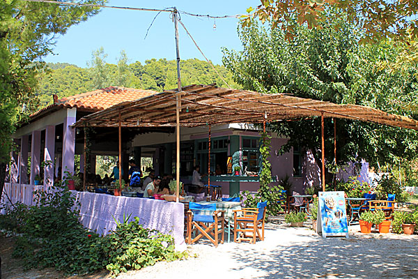 Taverna vid Milia beach på Skopelos.