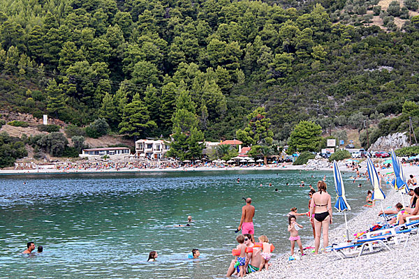 Panormos beach på Skopelos.
