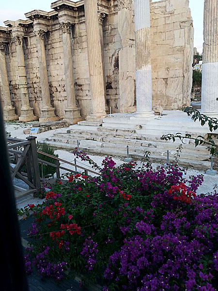 Blommor och ruiner i Plaka. Aten.