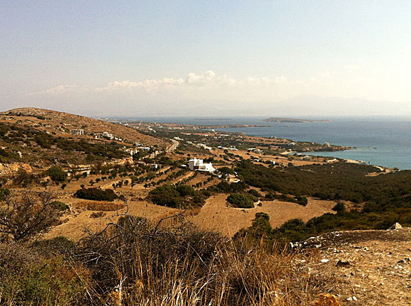 Dryos. Paros.