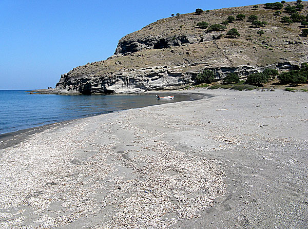 Agios Efstratios: Agios Dimitrios.