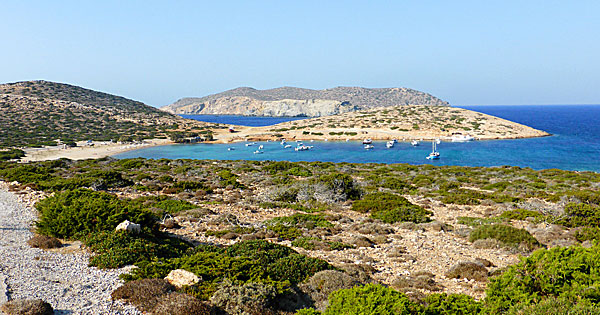 Amorgos. Kalotaritissa. 