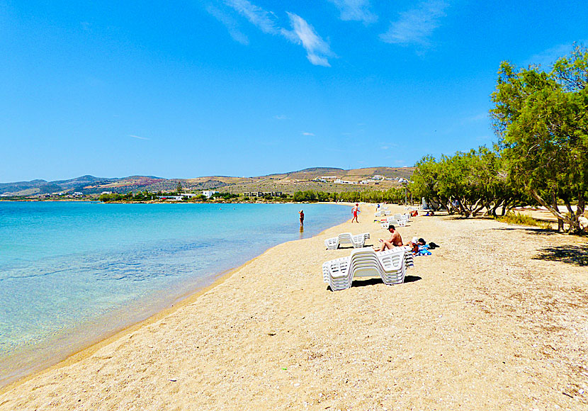 I maj vaknar öarna och solstolarna plockas fram, som här vid Psaraliki beach på Antiparos.